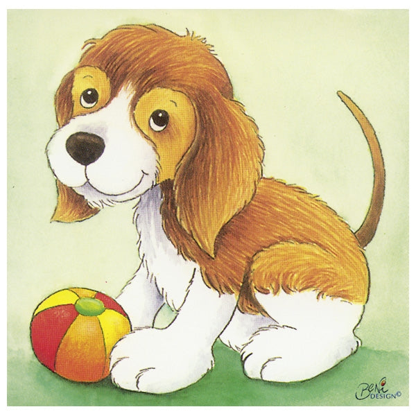 Cuburi cu pui de animale - Set educativ