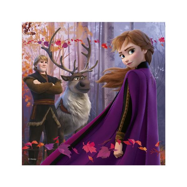 Puzzle 3 in 1 - Frozen II (3 x 55 piese)