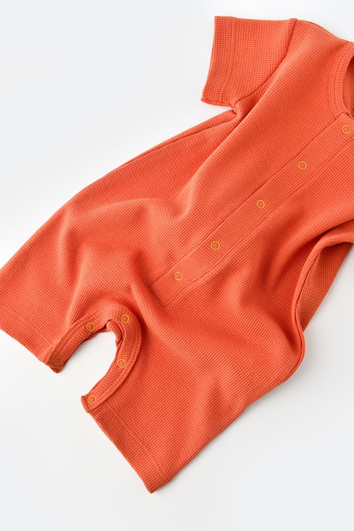 Salopeta cu panataloni scurti - 100% bumbac organic - Scortisoara, Baby Cosy