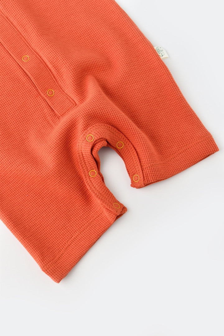 Salopeta cu panataloni scurti - 100% bumbac organic - Scortisoara, Baby Cosy