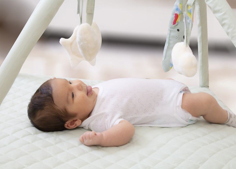 Saltea de activitati cu bara jucarii BabyJem Soft Cotton