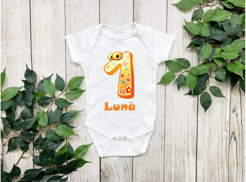 Set 12 body-uri cu lunile bebelusului