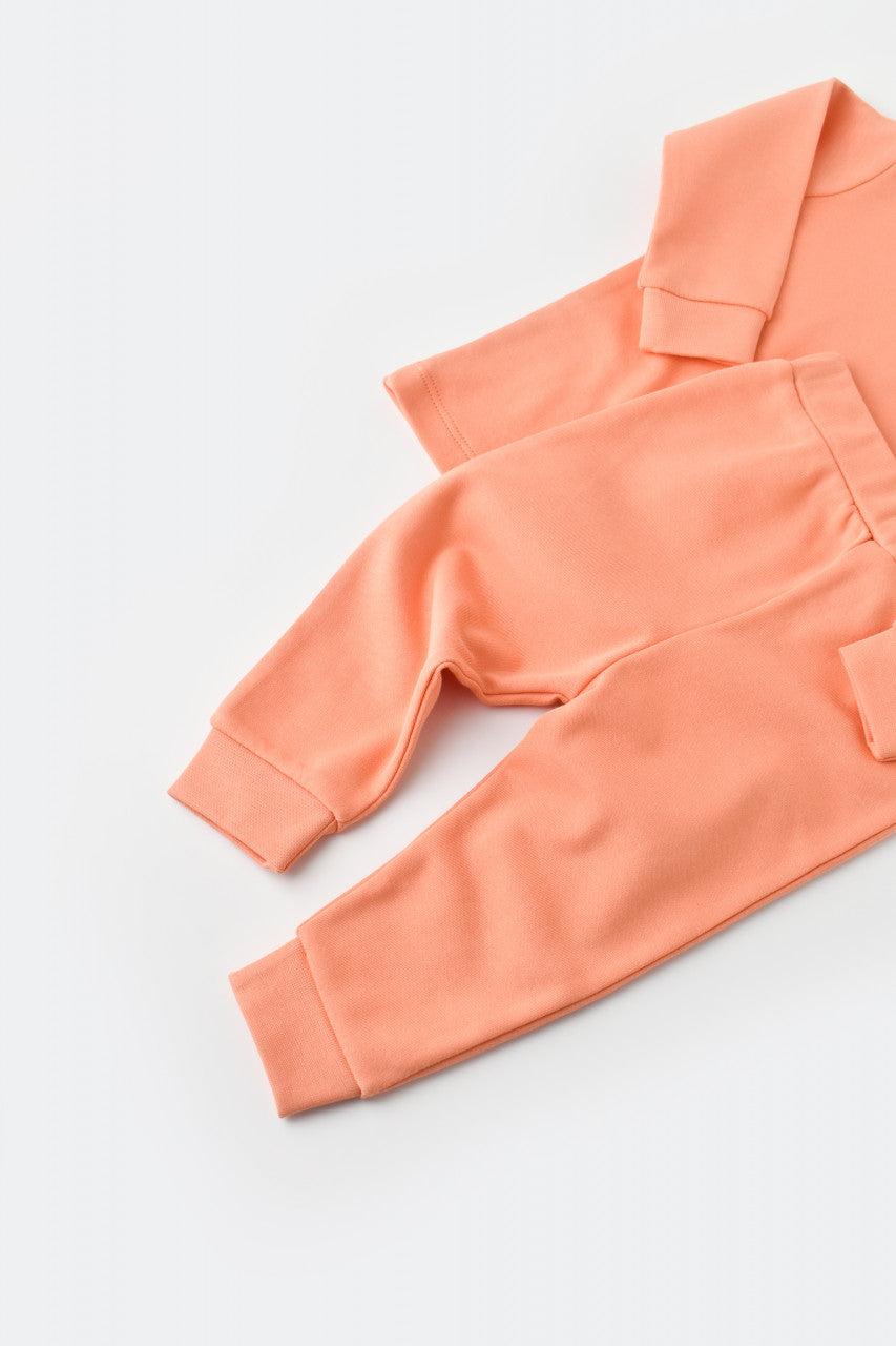 Set bluzita cu maneca lunga si panataloni lungi - bumbac organic 100% - Roz, Baby Cosy
