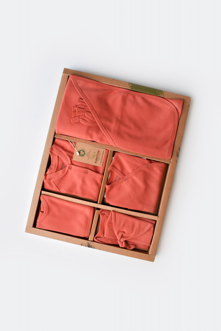 Set de 10 piese pentru nou nascut - 100% bumbac organic - Scortisoara, Baby Cosy