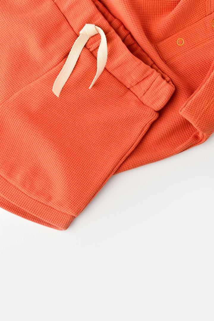 Set tricou cu panataloni scurti - 100% bumbac organic - Scortisoara, Baby Cosy