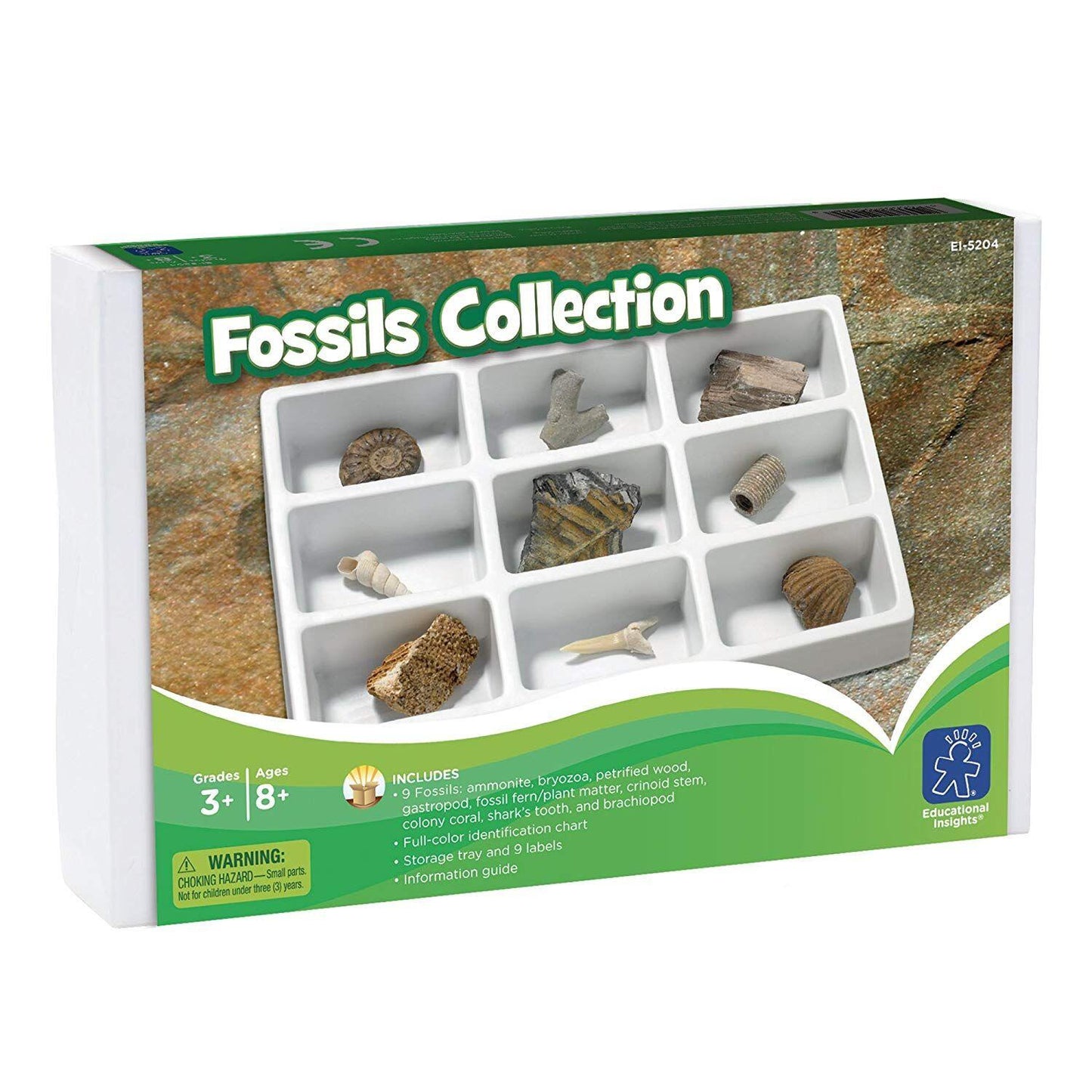 Kit paleontologie - Fosile