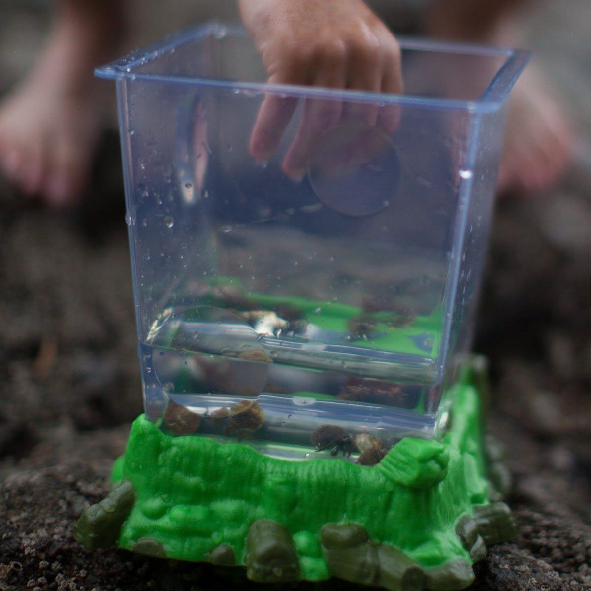 Observator insecte tip habitat - Geosafari